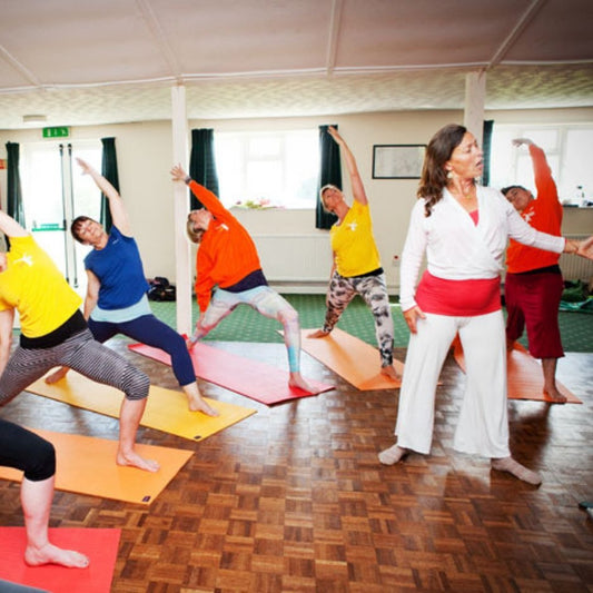 Teen Yoga Teacher Training