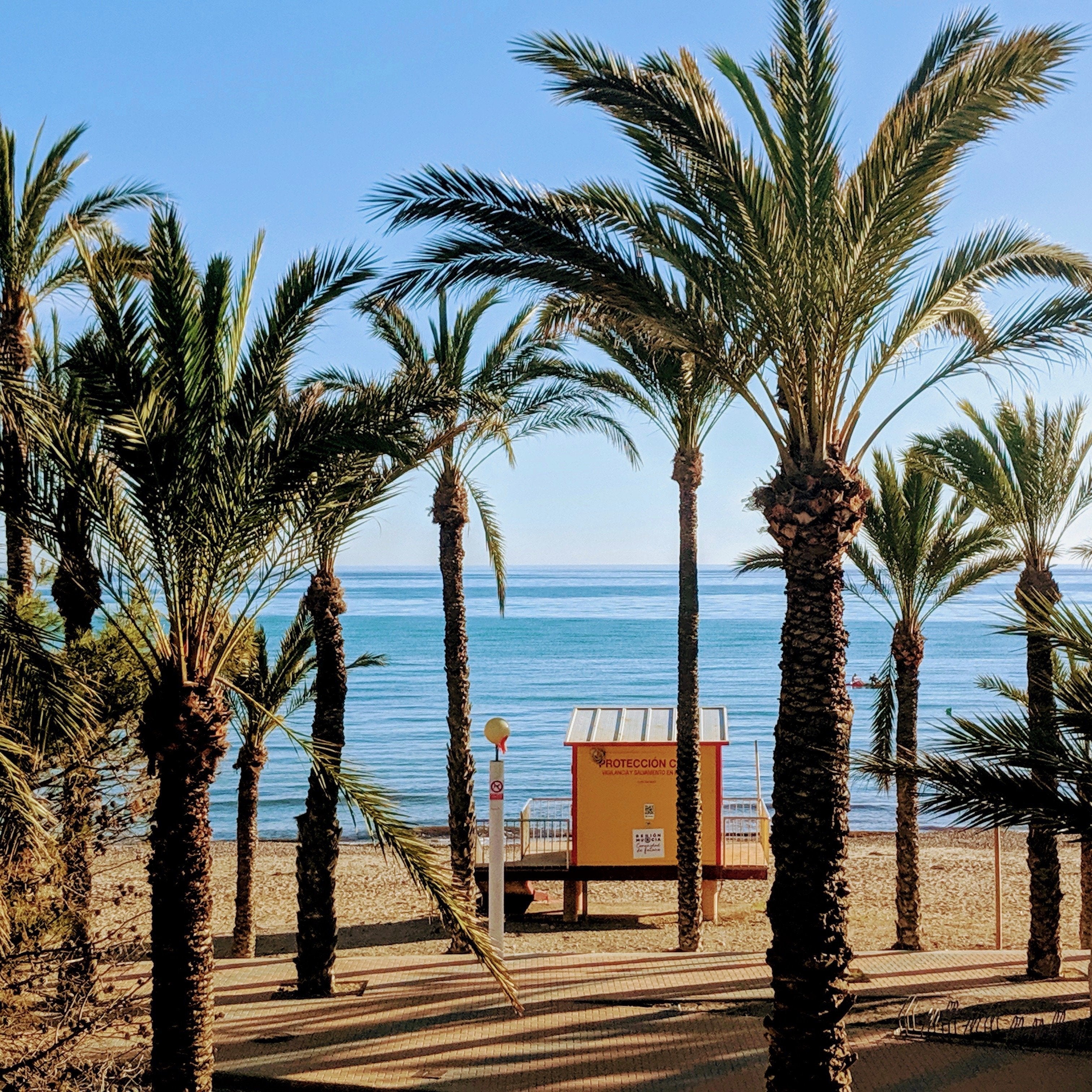 YoVeg! Mediterranean Vegan Yoga Holiday