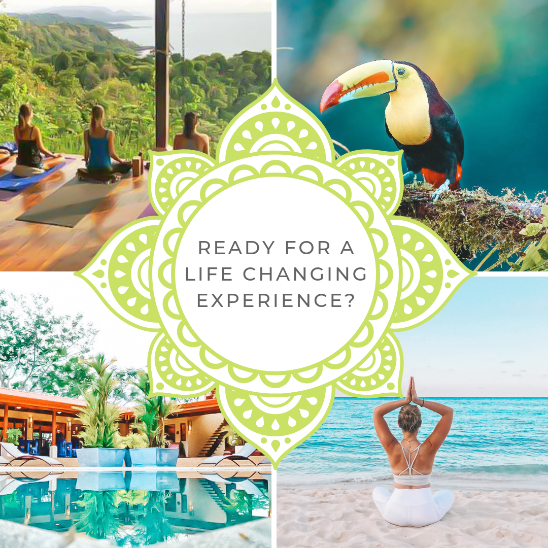 Yoga + Reiki Healing Retreat