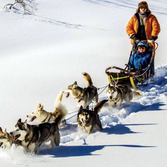 Arctic Winter Weekend