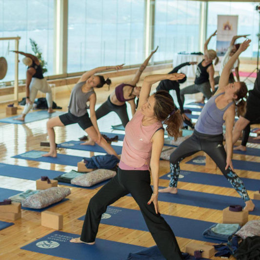 Elysia Yoga Convention