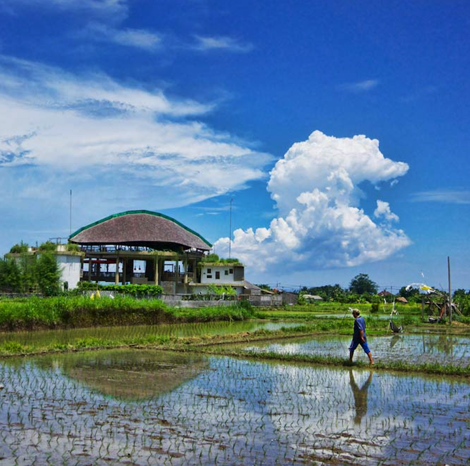Beyond Ritual in Bali