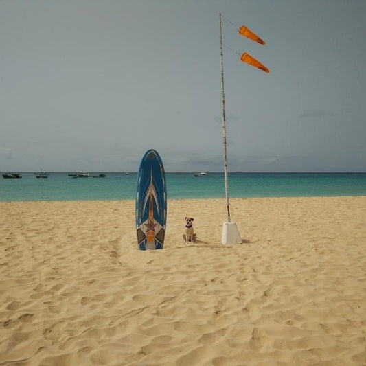 Yoga from the Inside Out, Paradise island retreat