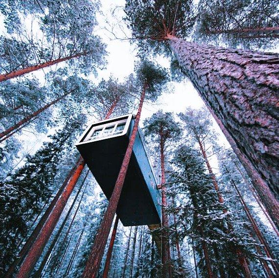 Treehouse Retreat in Lapland