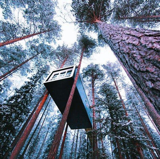 Treehouse Retreat in Lapland