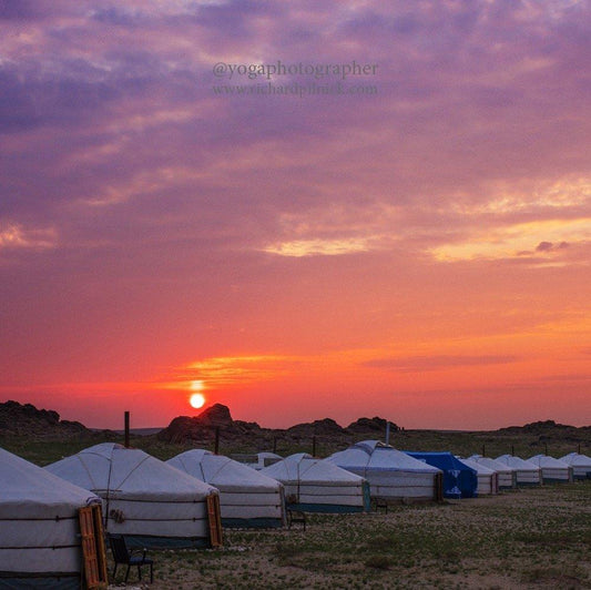 Experience the untamed wilderness of Mongolia