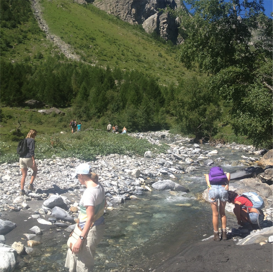 Alpine Yoga and Hiking Retreat in the French Alps