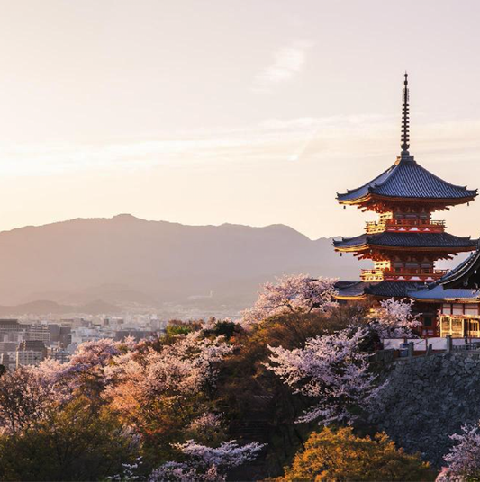 Culture, Renewal and Yoga retreat in Japan