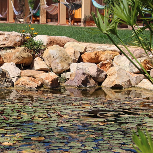 Mindfulness and Yin Yoga in Portugal